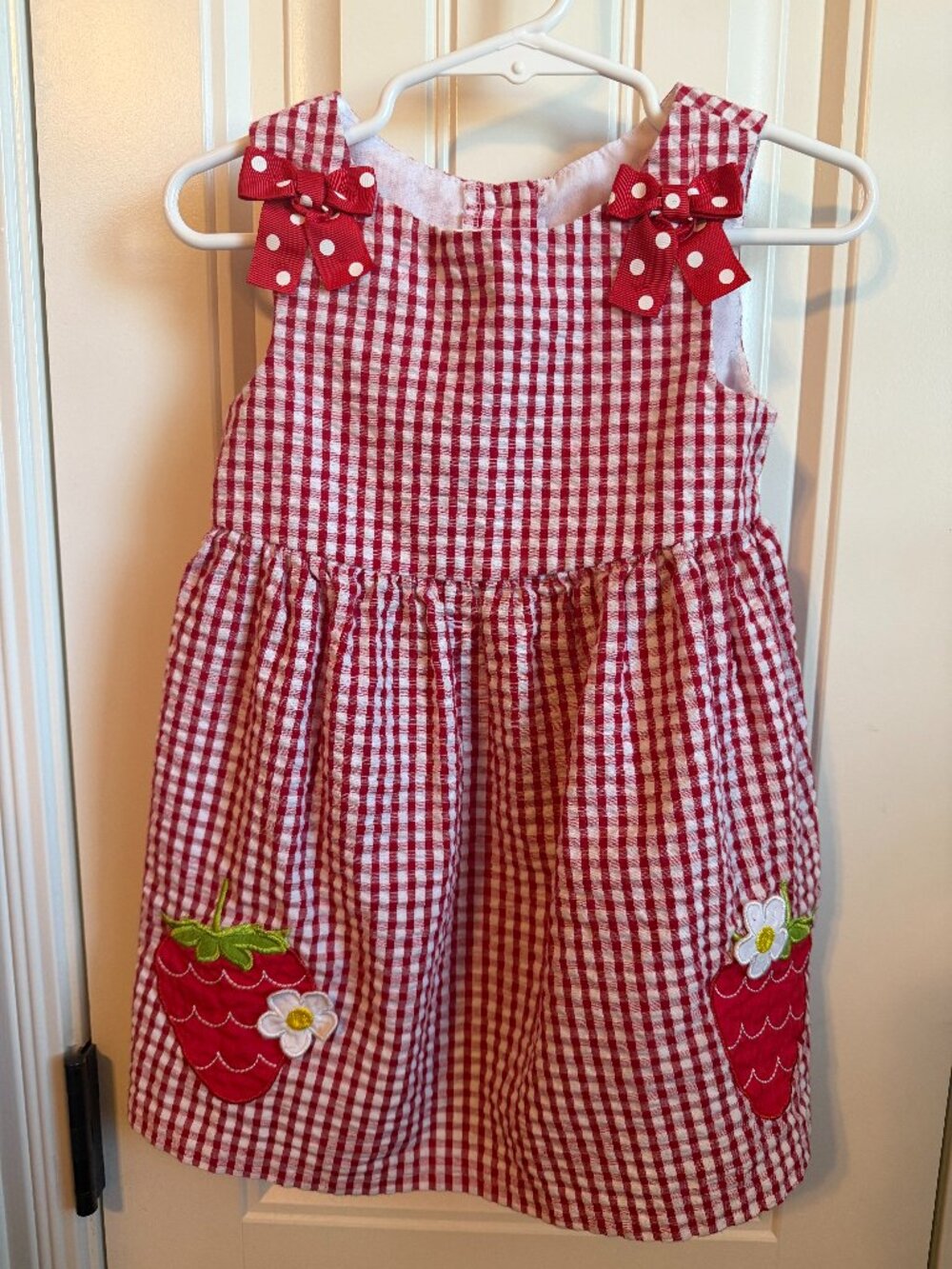 Counting Daisies Red Gingham Strawberry Dress